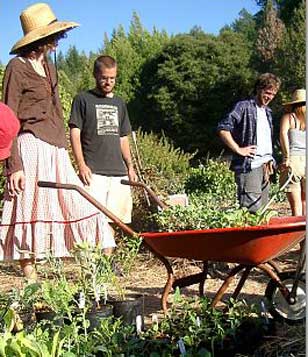 students in garden