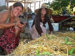 planting keyhole beds