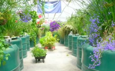 Permaculture Principles at Work (Video)