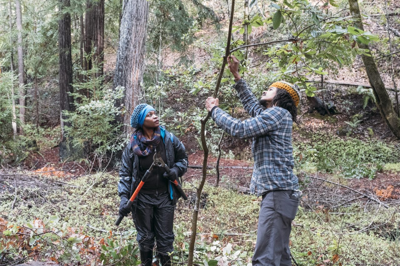 Land Management Training Program 2025 Regregenerative land management | Earth Activist Training