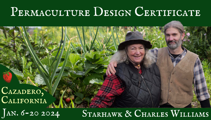 Permaculture Design Certificate Course, February-May 2022