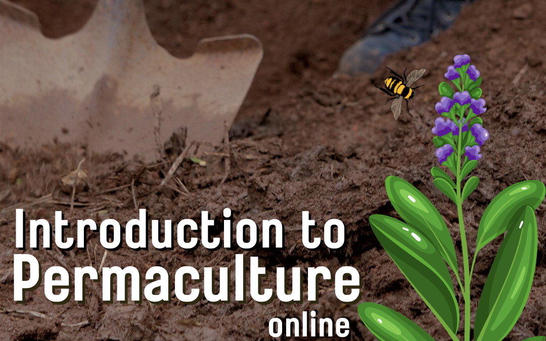 Introduction to Permaculture