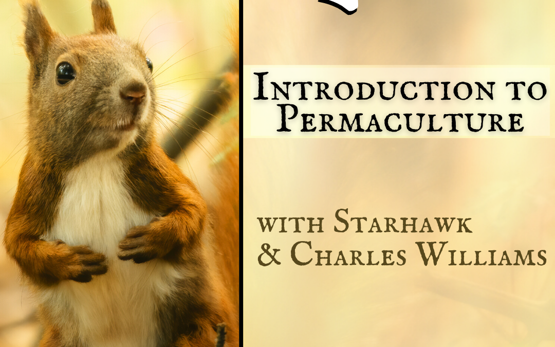 Introduction to Permaculture