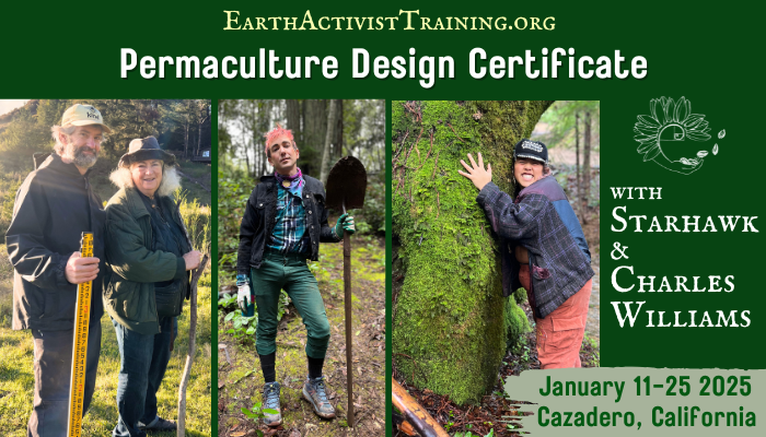 0125 Inperson PDC MN update Permaculture Design Certificate Course, February-May 2022
