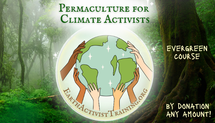 Climate Activists evergreen