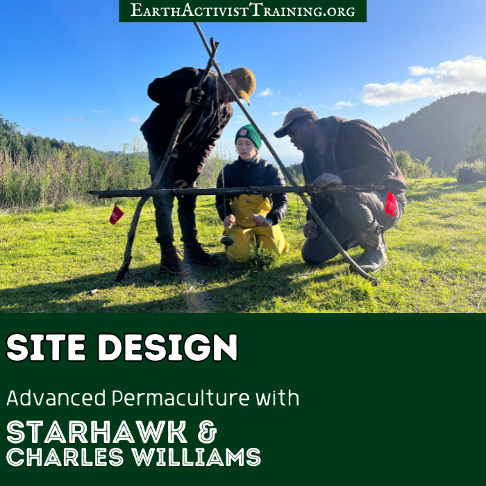 Site Design 700 x 700