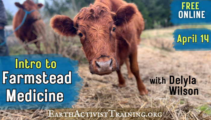 0426 Intro Farmstead Medicine MN